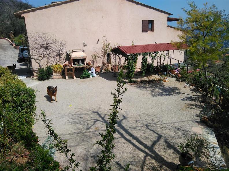 Locaspera Apartment